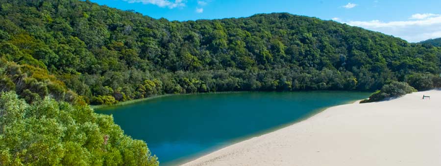 Fraser Island