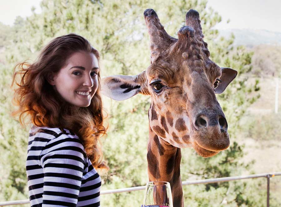 Jamala Wildlife Lodge