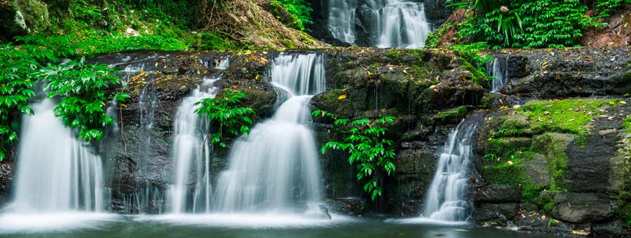 Binna Burra Lodge - Lamington National Park