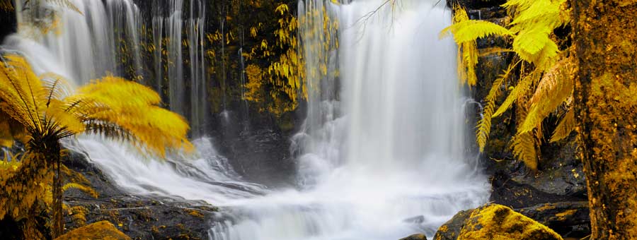 Mt Field National Park