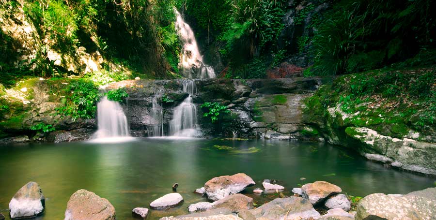 O'Reilly's Rainforest Retreat - Lamington National Park
