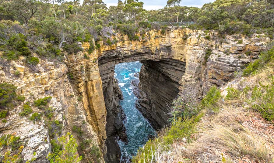 Tasman National Park