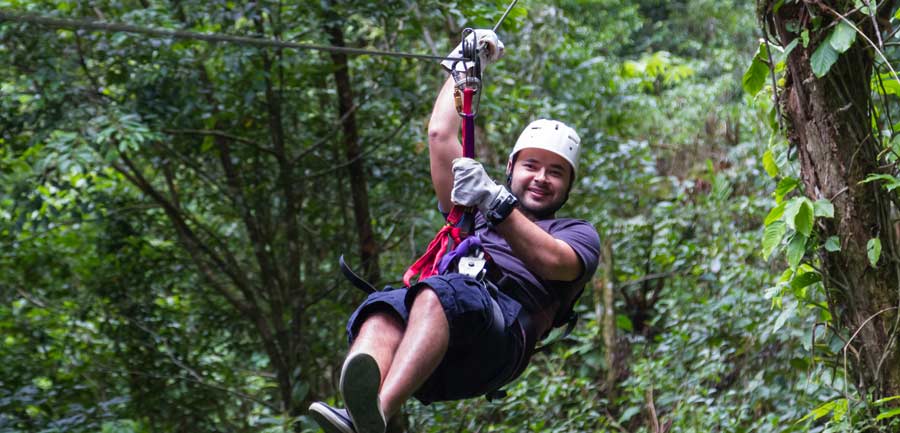 Hollybank Treetops Adventure