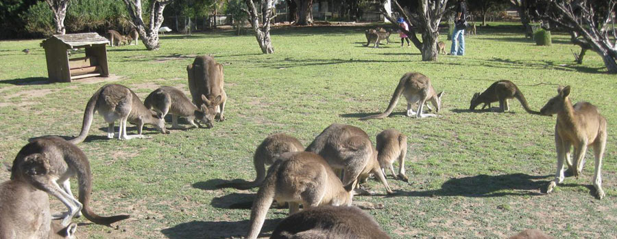 Urimbirra Wildlife Park