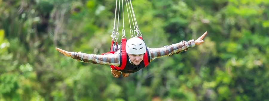 Otway Fly Treetop Adventures
