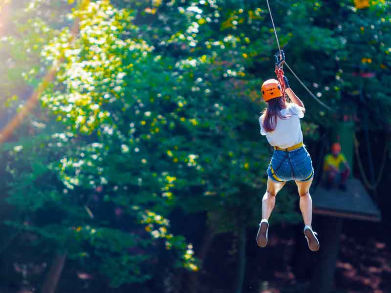 Treetops Adventure Western Australia